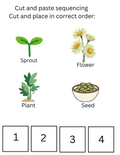 Plant Life Cycle Printable for Preschool | Sequencing at Bottom | Montessori Activity