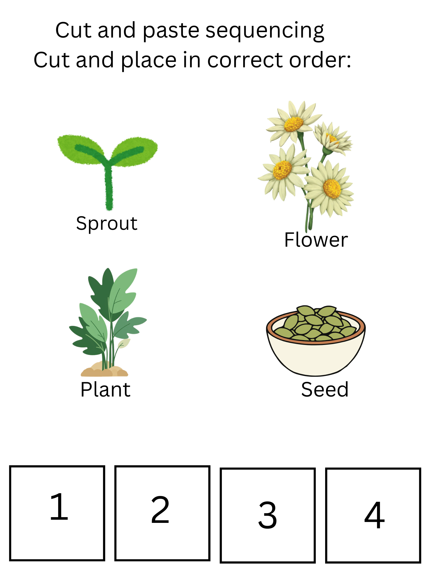 Plant Life Cycle Printable for Preschool | Sequencing at Bottom | Montessori Activity