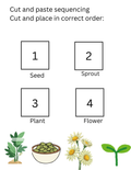 Plant Life Cycle Printable for Preschool | Sequencing in Middle | Montessori Activity