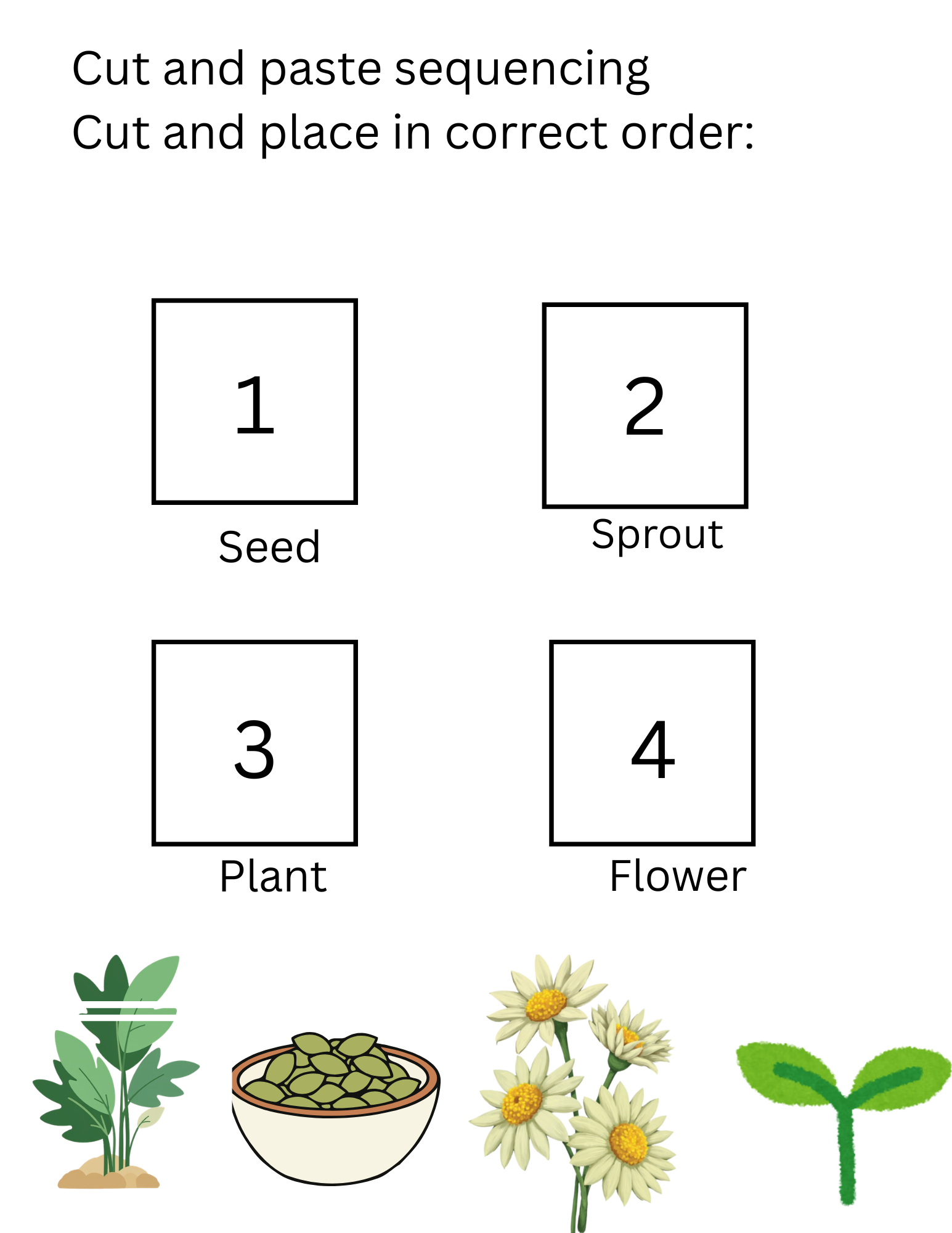 Plant Life Cycle Printable for Preschool | Sequencing in Middle | Montessori Activity