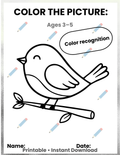 FREE Color the Picture Activity Pack | Preschool Coloring Pages | Fine Motor Skills Printable for Kids