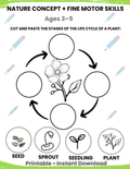 Plant Life Cycle Cut and Paste Activity for Kids Ages 3–5 | Spring Science Printable | Preschool Learning Worksheet | Homeschool Montessori Activity