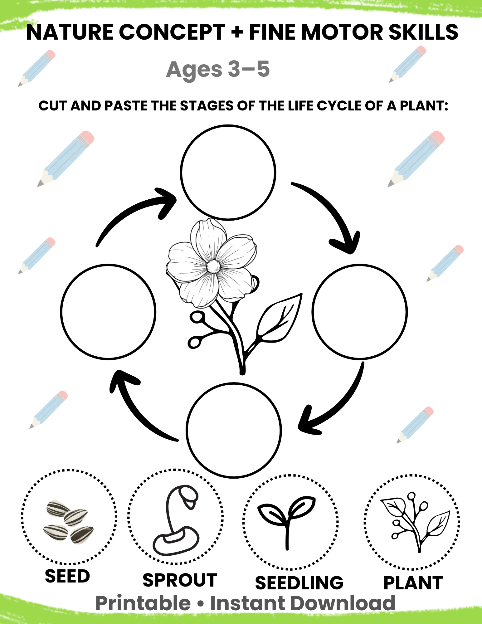 Plant Life Cycle Cut and Paste Activity for Kids Ages 3–5 | Spring Science Printable | Preschool Learning Worksheet | Homeschool Montessori Activity