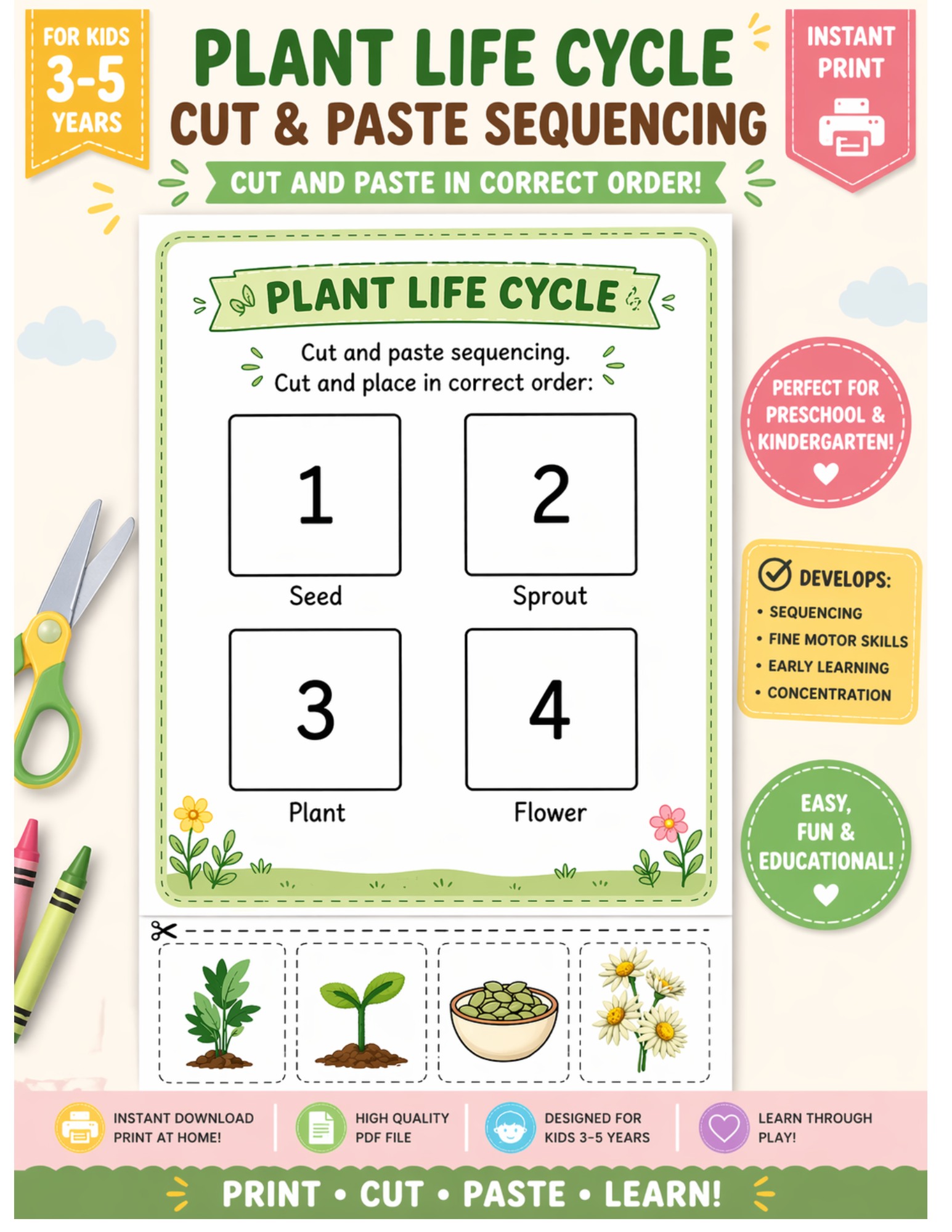 Plant Life Cycle Printable for Preschool | Sequencing at Bottom| Instant Print